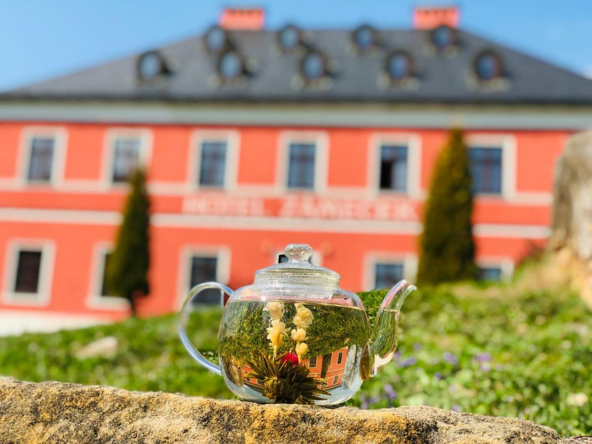 Wellness Hotel Zamecek Jetřichovice Extérieur photo